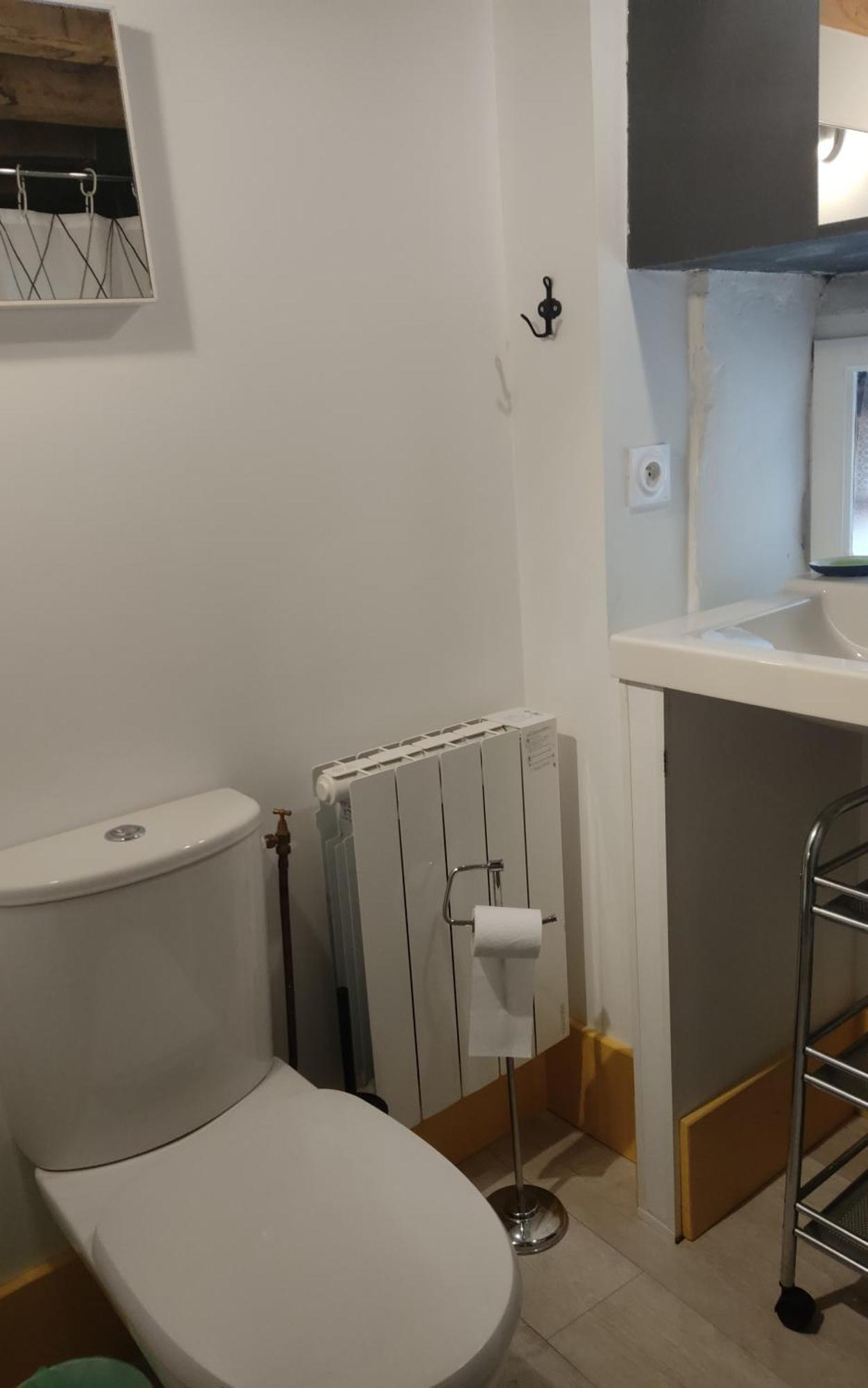 La Maisonette Du Bateau Lavoir Semur-en-Auxois Dış mekan fotoğraf